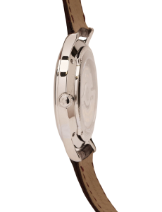 Master Control Perpetual