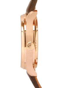 Portuguese Automatic