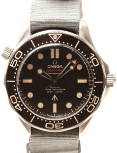 Seamaster Professional