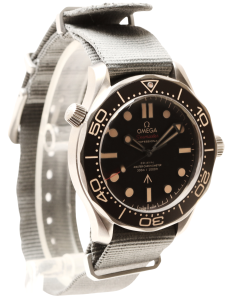 Seamaster Professional