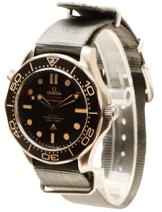 Seamaster Professional