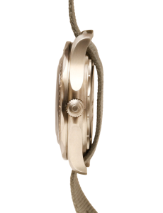 Seamaster Professional