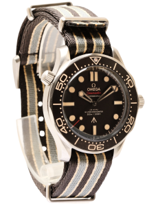 Seamaster Professional