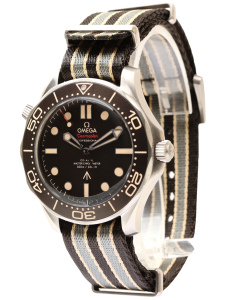 Seamaster Professional