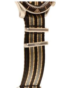 Seamaster Professional